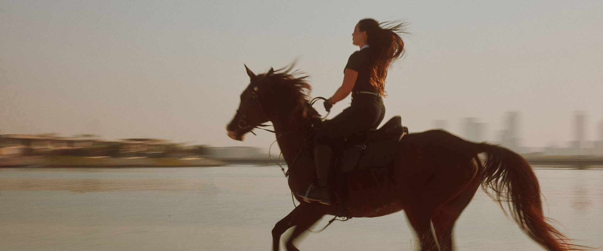 Anytime Anywhere Bovet