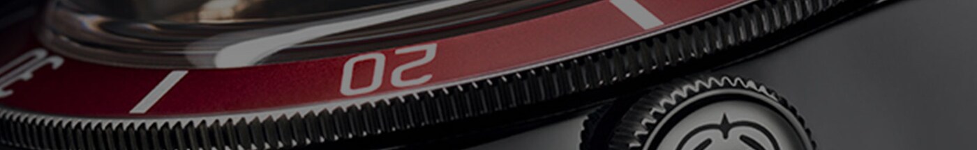 tudor-blp-bottom-banner-desktop-aug22.jpg